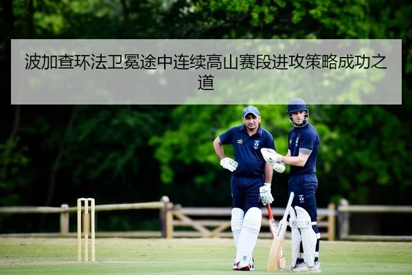 波加查环法卫冕途中连续高山赛段进攻策略成功之道