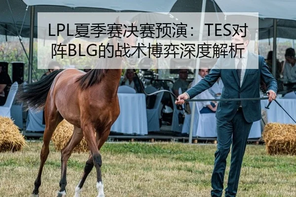 LPL夏季赛决赛预演：TES对阵BLG的战术博弈深度解析
